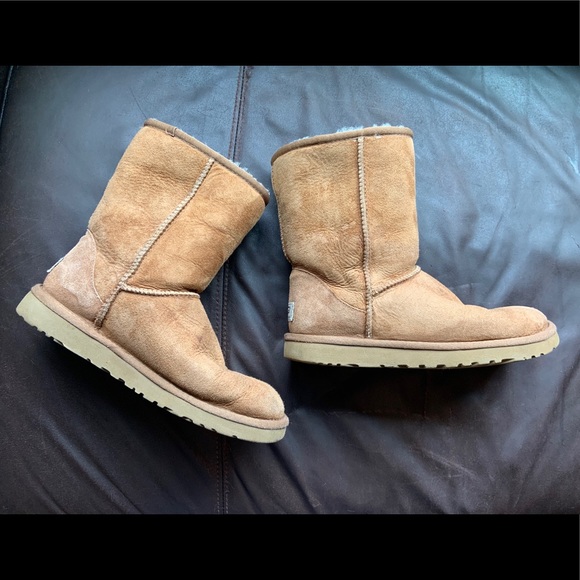 UGG Shoes - UGG Classic Short Chestnut Shearling Boots